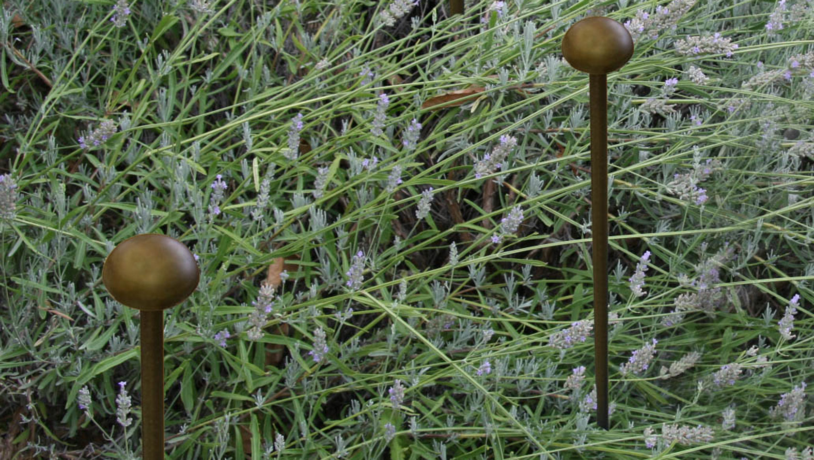 Chiodino 4